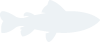 九游会官网