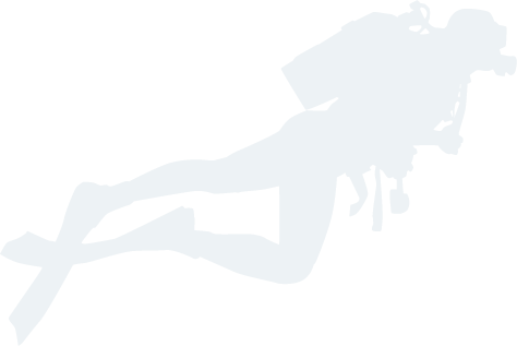 九游会官网