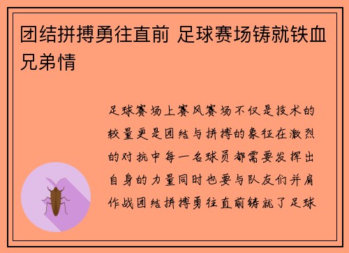 团结拼搏勇往直前 足球赛场铸就铁血兄弟情